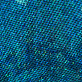 Holo Teal
