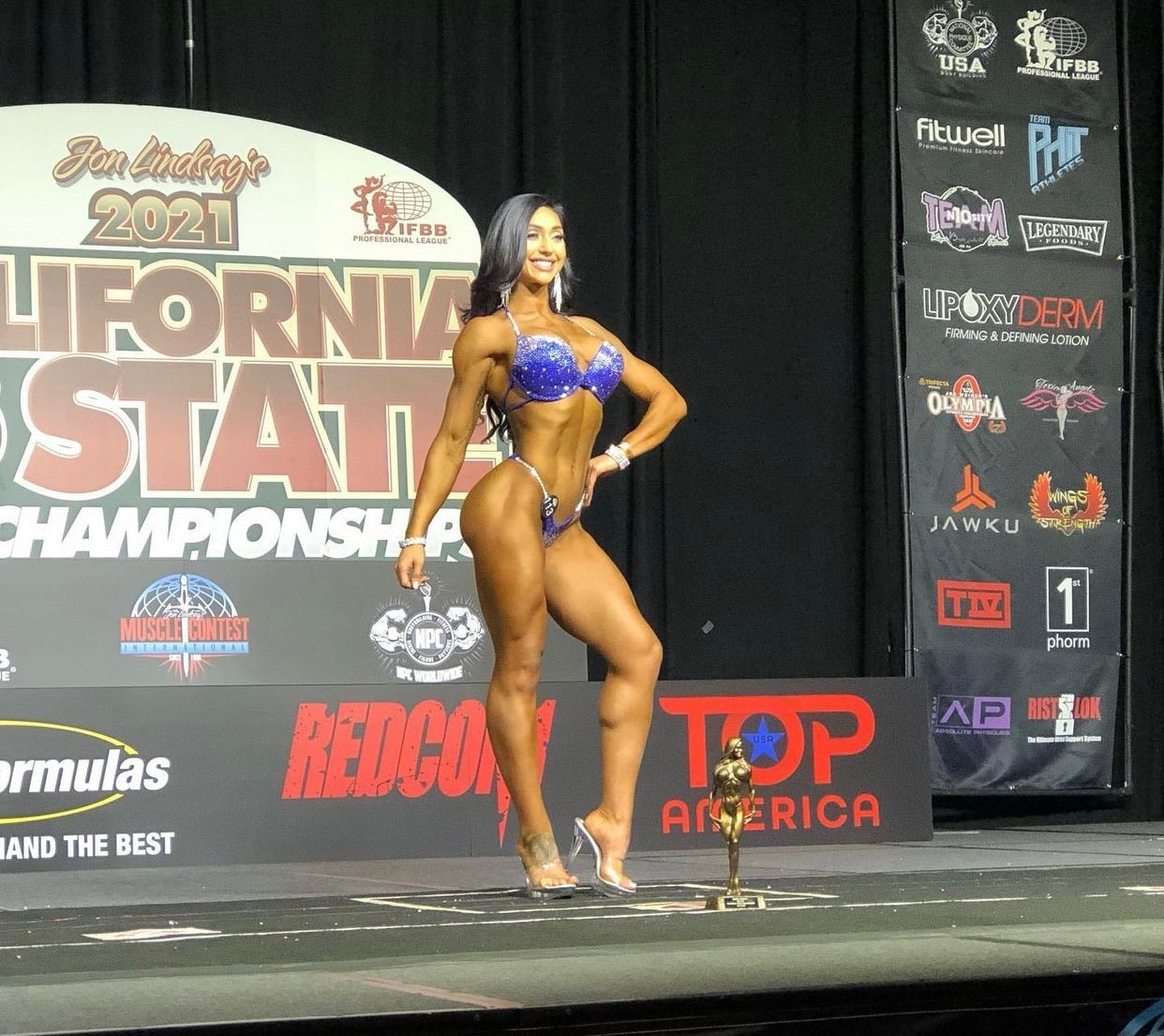 Commissioned Full Ombre - Holo Indigo (CD-011)