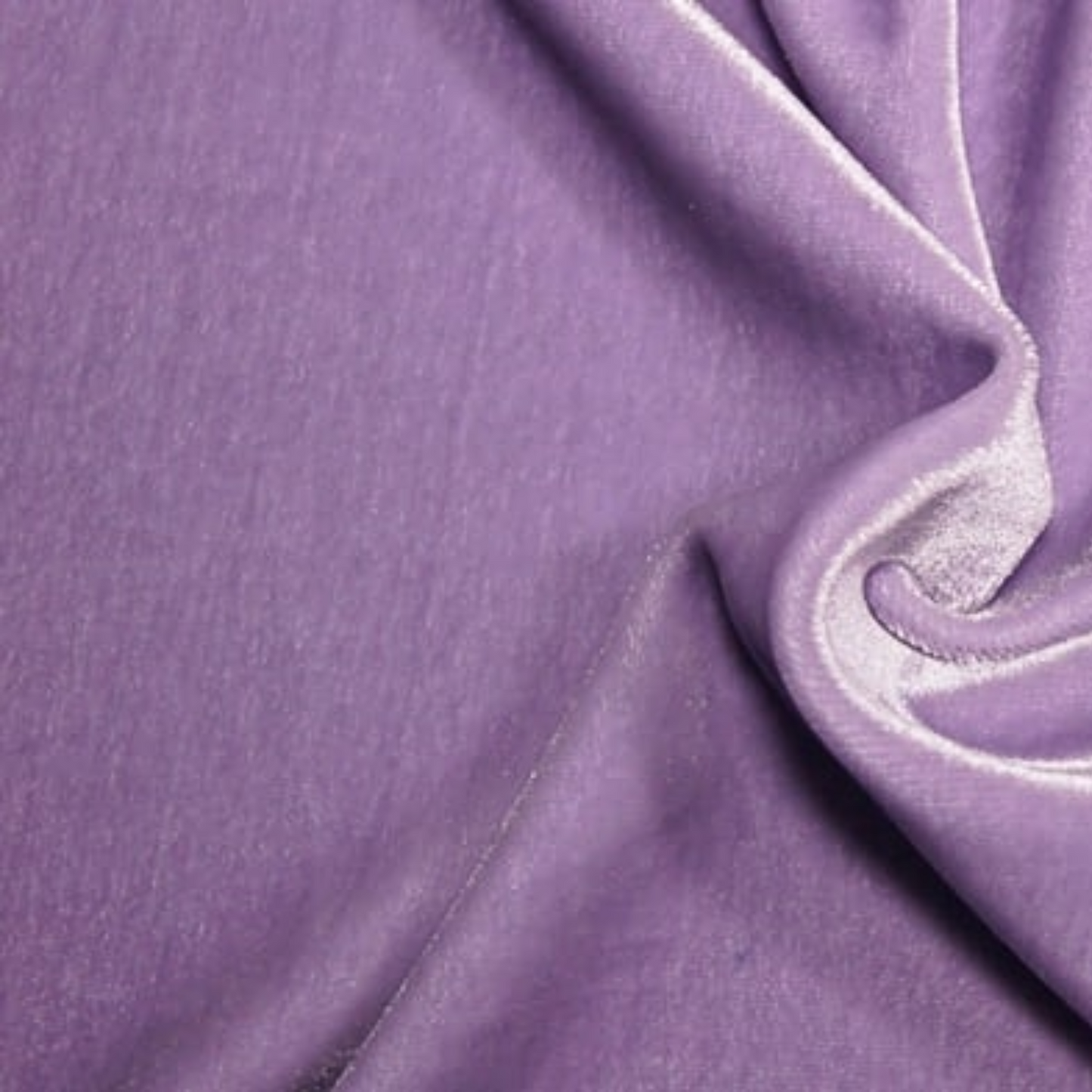 Custom Velvet Collection - Fit Model