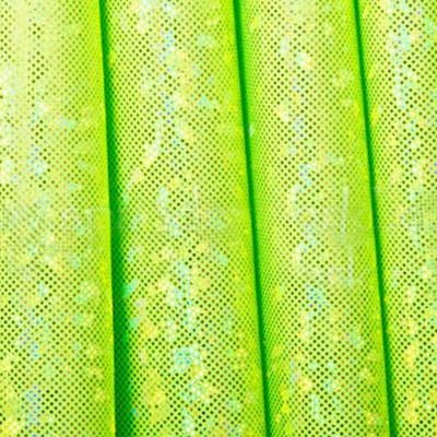 Holo Lime