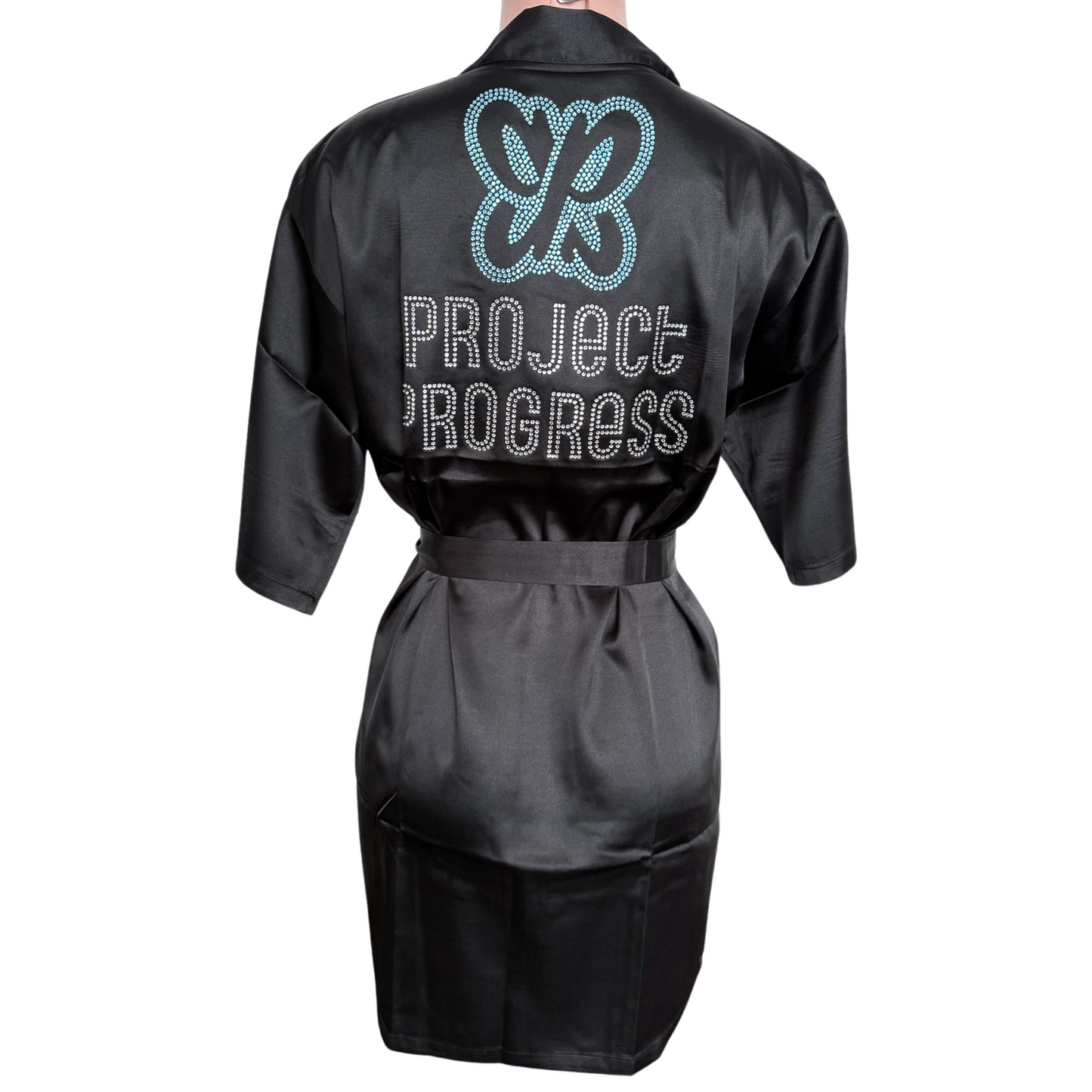 Project Progress Robe