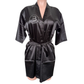 Team Bertin Robe